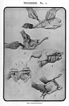 1000FW0053-01
&copy; Stephanie Fawcett collection
Trussing no. 1 illustration from Mrs Beeton's Family Cookery, by Isabella Beeton. London, England, 1861