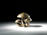 2006AL0385-01
&copy;
Netsuke cluster of mushrooms. Japan, 19th century