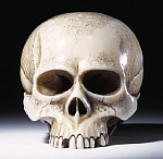 2006AL0486-01
&copy; Victoria and Albert Museum, London
Netsuke. Japan, 19th century.