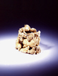 2006AL0526-01
&copy;
Netsuke. Japan, 19th century