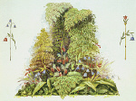2006AG1255-01
&copy; Victoria and Albert Museum, London
Design for a floral prop for Midsummer Night's Dream. London, England, mid-19th century