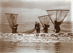 2006AC3304-01
&copy; Andrew Pitcairn-Knowles
Shrimpers, photo Andrew Pitcairn-Knowles. Belgium, early 20th century