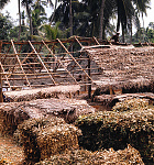 1000VK0050-01
&copy; Victor Kennet
Preparing to roof a house, photo Victor Kennett. Kerala, India, 20th century
