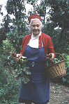 1000MP0049-01
&copy; Elizabeth March-Penney
Woman Gardening, photo Elizabeth Marchpenny. France, late 20th century