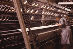 1000MP0061-01
&copy; Elizabeth March-Penney
Lace balming at Pegg & Sons, photo J. March-Penney. Nottingham, England, 20th century