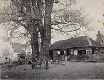 2006BH9203-01
&copy;
On the Village Green, photo Benjamin Stone. Warwickshire, England, 1900