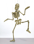2006AL7079-01
&copy; Victoria and Albert Museum, London
Trick Marionette, a dissecting Skeleton. England, 19th century